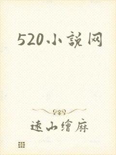 520小说网