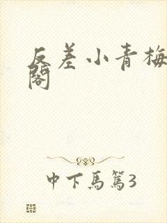 反差小青梅笔趣阁