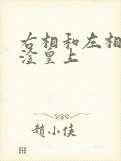 右相和左相一起淦皇上