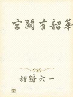 宫阙有韶华