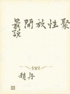 最开放性聚会小说