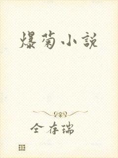 爆菊小说