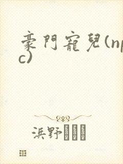 豪门宠儿(npc)