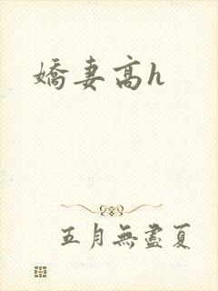 娇妻高h