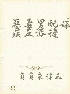 恶毒男配嫁给残疾反派后封面