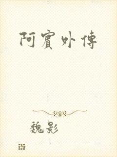 阿宾外传