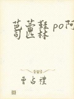 芭蕾鞋 po阿司匹林封面