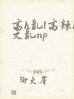 高h乱l高辣h文乱np