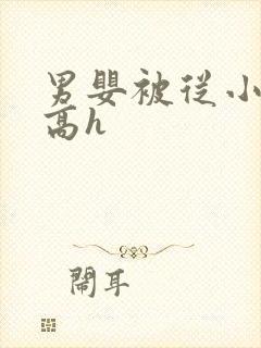 男婴被从小调教高h封面