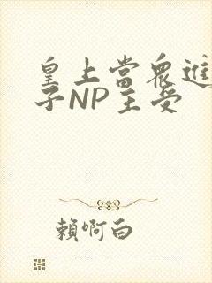 皇上当众进入太子NP主受