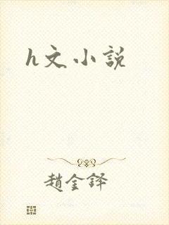 h文小说