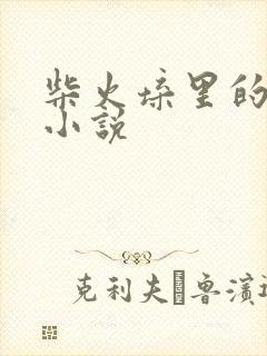 柴火垛里的疯狂小说封面