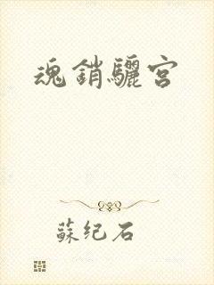 魂销骊宫封面