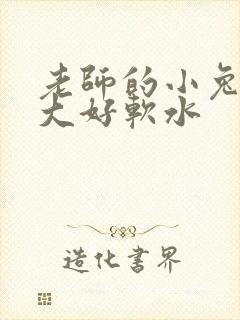 老师的小兔子好大好软水