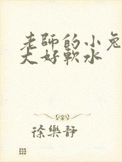 老师的小兔子好大好软水