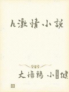 h激情小说
