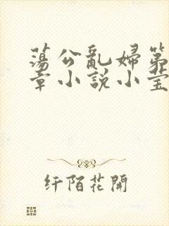荡公乱妇第51章小说小莹