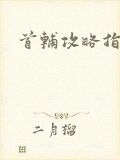 首辅攻略指南