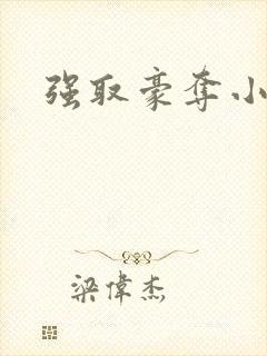 强取豪夺小说