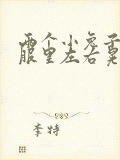 两个小兔子在衣服里左右晃封面