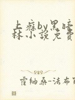 上瘾by黑暗森林小说免费封面