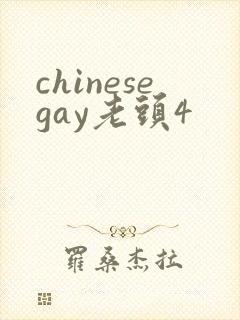 chinesegay老头4