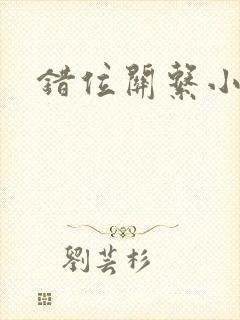 错位关系小说封面