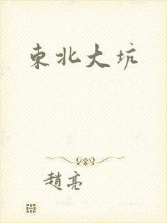 东北大坑封面