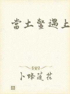 当土鳖遇上海龟