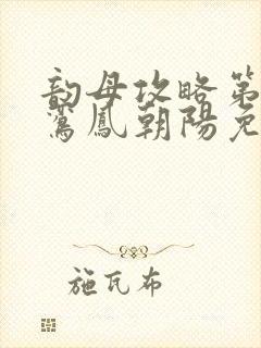 韵母攻略第二部鸾凤朝阳免费阅读封面