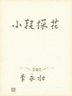 小段探花