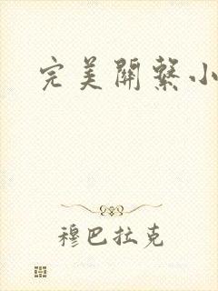 完美关系小说
