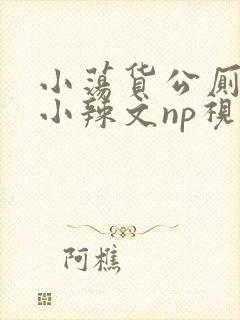 小荡货公厕h文小辣文np视频封面