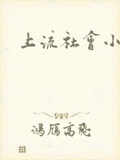 上流社会小说