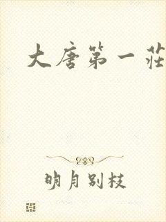 大唐第一庄