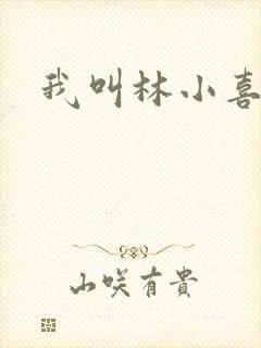 我叫林小喜17封面