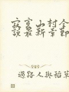 寂寞山村全部小说最新章节封面