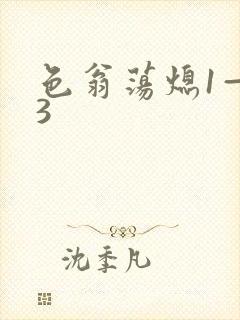 色翁荡熄1—13