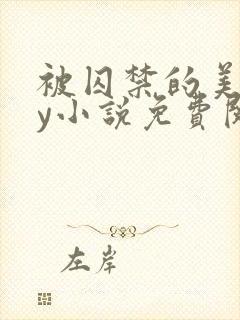 被囚禁的美人by小说免费阅读封面