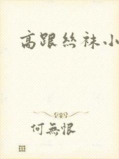 高跟丝袜小说