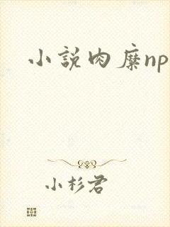 小说肉糜np