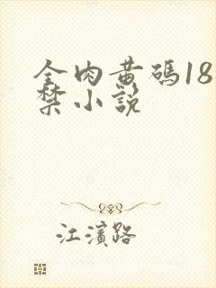 全肉黄码18无禁小说