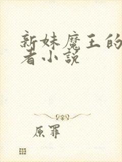 新妹魔王的契约者小说封面