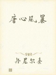 唐心风暴封面