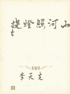 提灯照河山txt