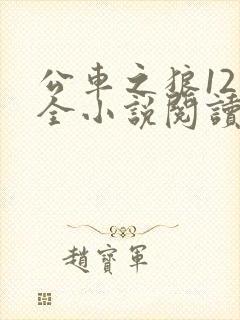 公车之狼12集全小说阅读封面