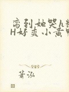 脔到她哭h粗话H好爽小黄鸭视频