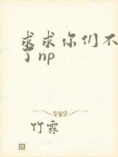 求求你们不要做了np