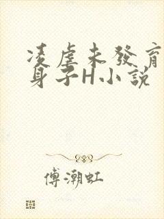 凌虐未发育的小身子H小说