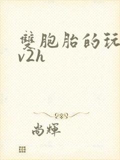 双胞胎的玩具1v2h封面